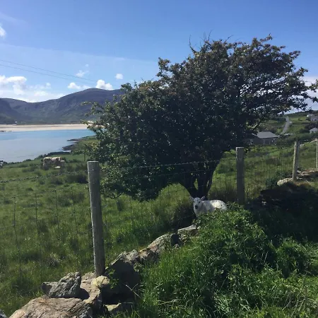 Bed and Breakfast Robins Nest F94e2ta 3*