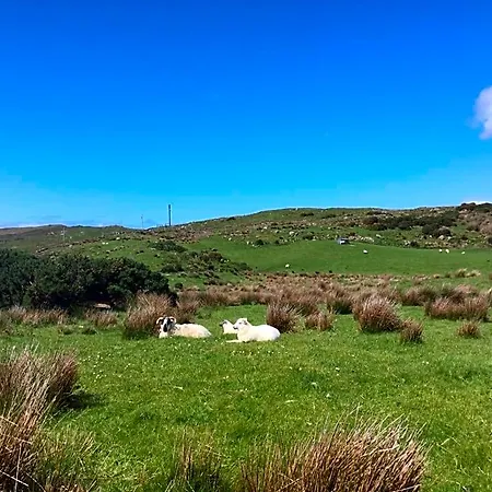 Bed & Breakfast Robins Nest F94e2ta Ardara