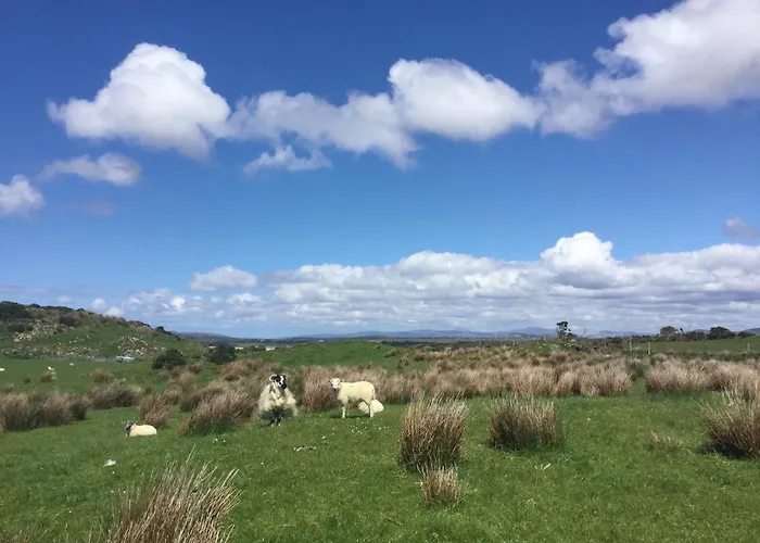 Robins Nest F94e2ta Отель типа 