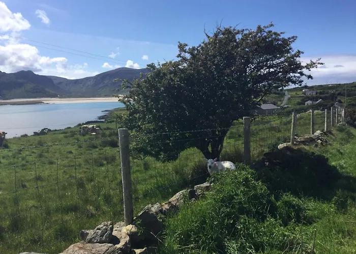 Frühstückspension Robins Nest F94e2ta 3*