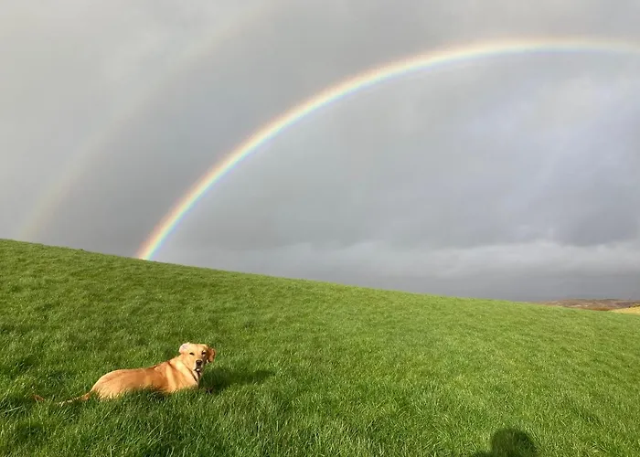 Robins Nest F94e2ta Отель типа 